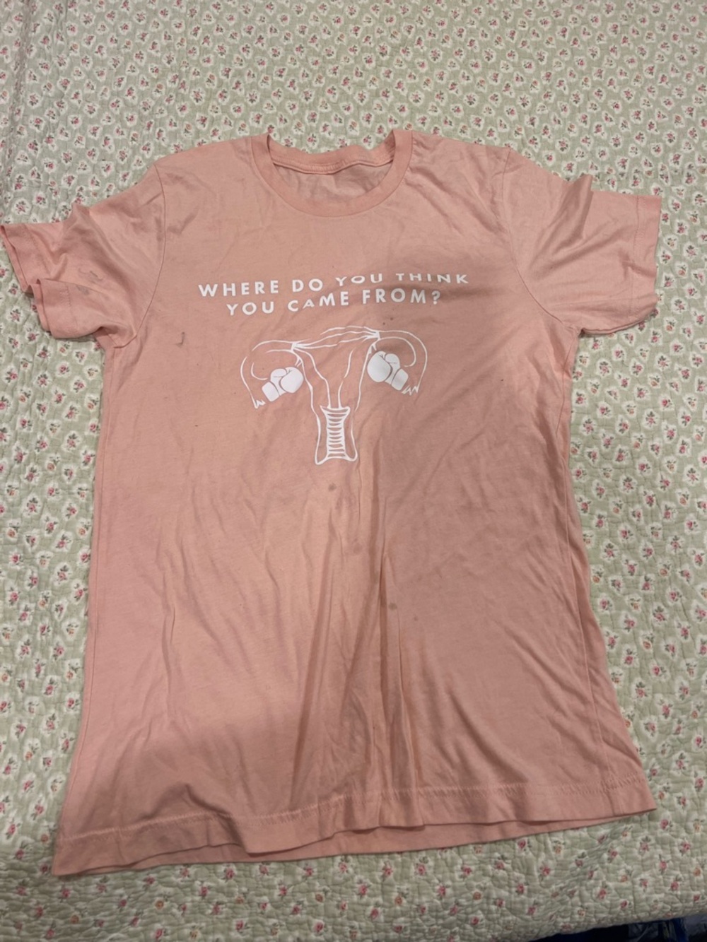Short Sleeve Graphic Tee - Dusty Rose "Where Do You Think You Came From?"